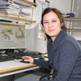 Dr. Petra Runge-Wollmann
