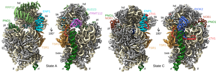 beckmann_erc_picture