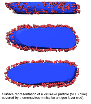 plos_path_pic