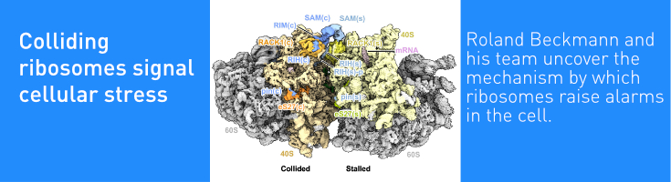 slider_beckm_nature2025