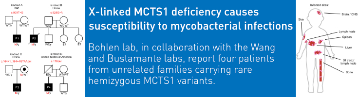 slider_bohlen_humimmun26