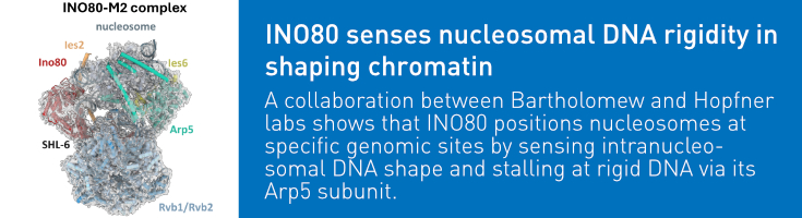slider_hopfner_molcell2025