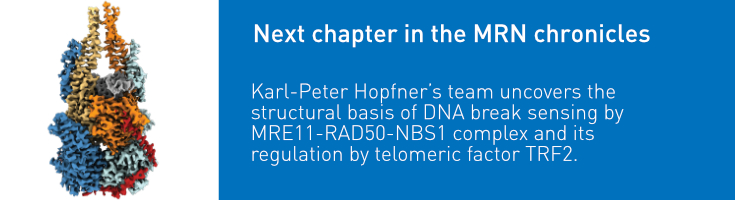 slider_hopfner_natcom25