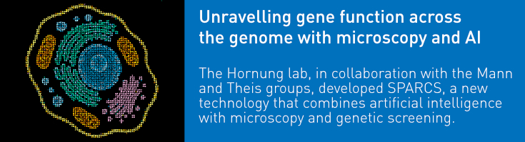 slider_hornung_schmacke_cell26