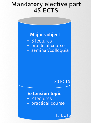 elective-main-topics