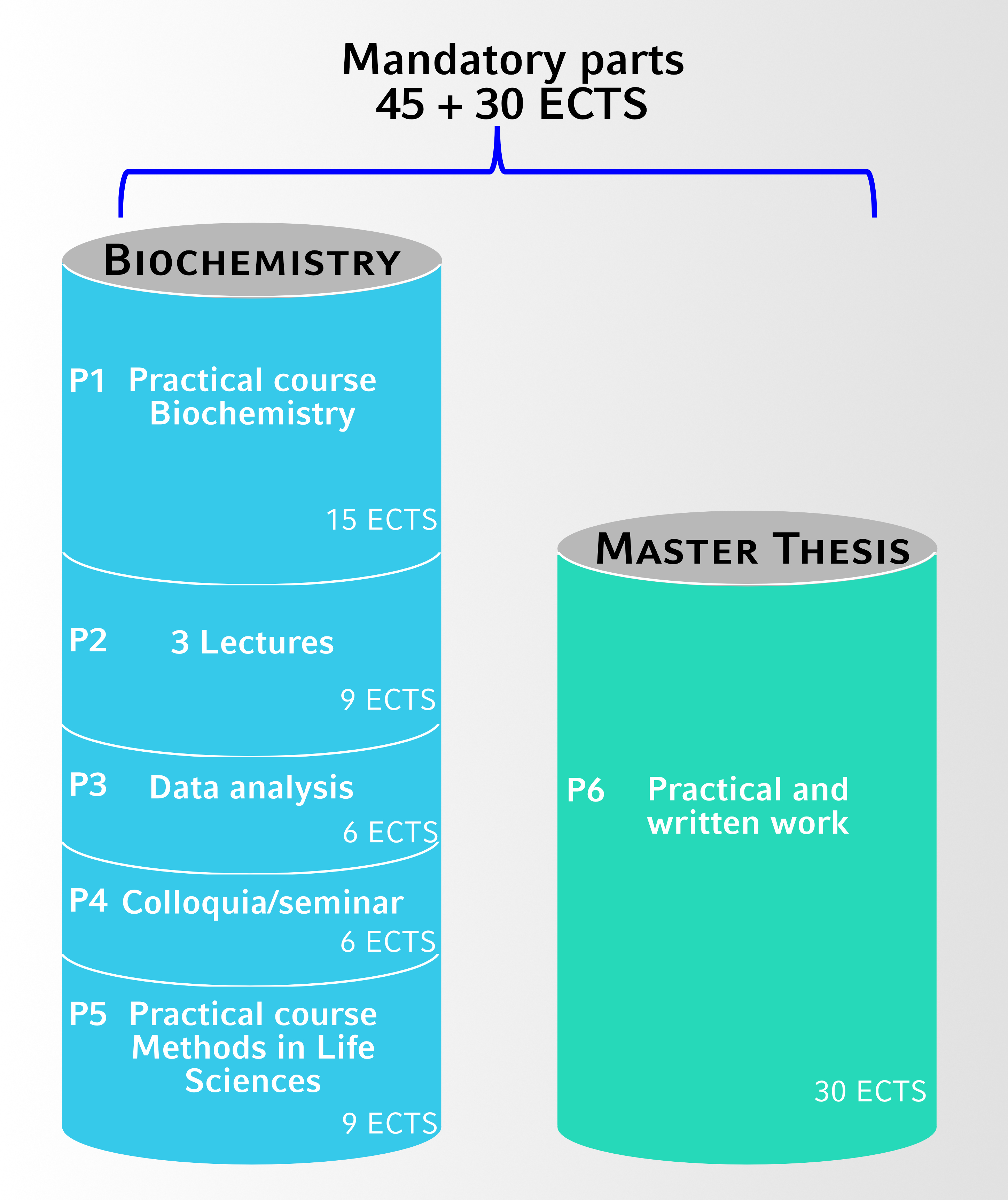 mandatory-modules-2