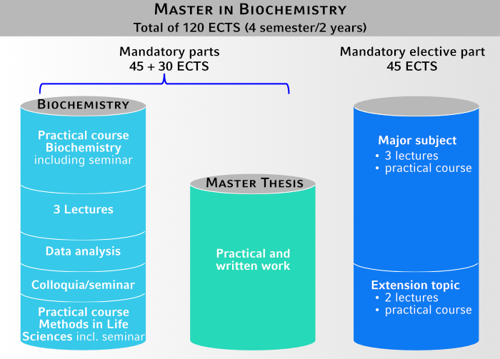 master program