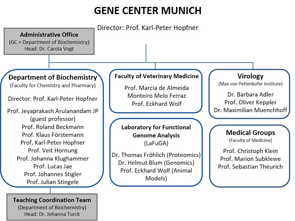 organizatinonal chart of the gene center