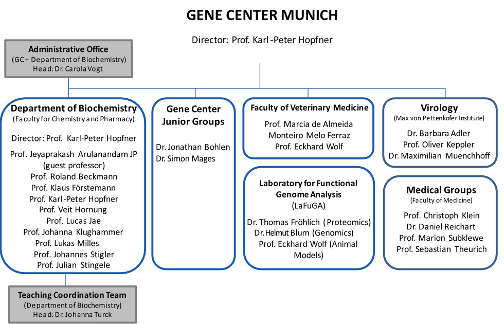 organizatinonal chart of the gene center