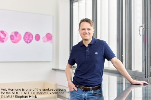 prof_hornung2_stephan_hoeck_500px