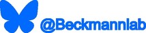 bluesky-beckmann-logo
