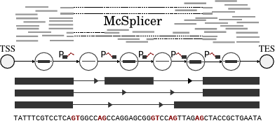 mcscplicer_small.png-000001