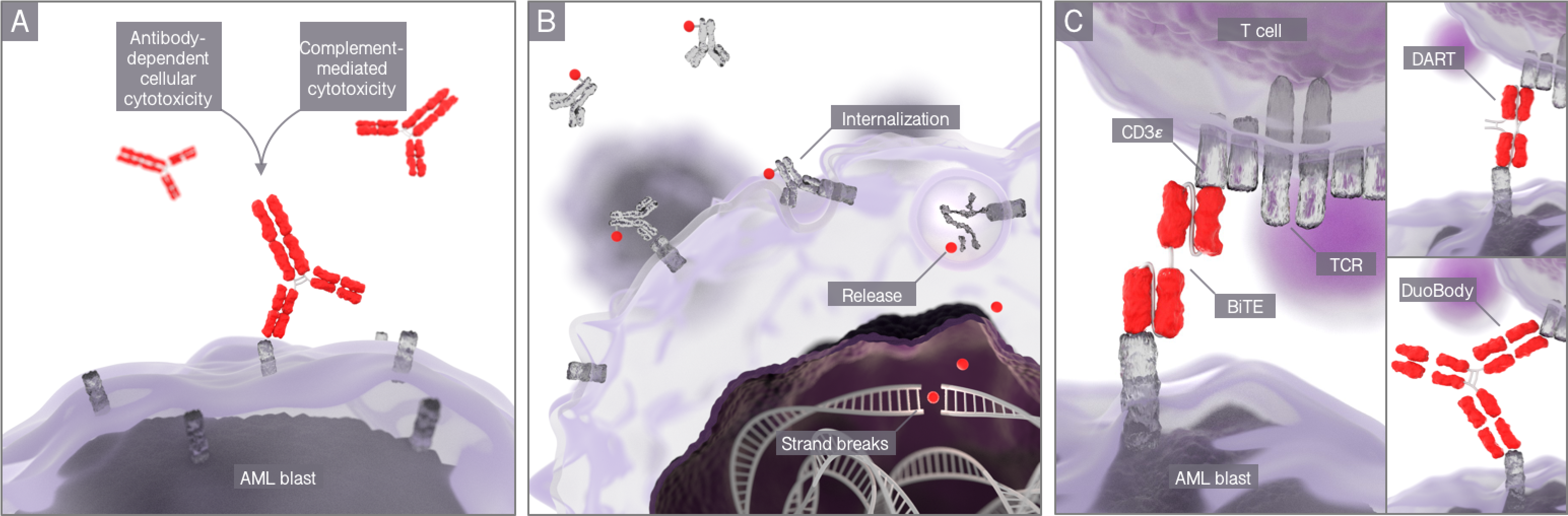 Research_Antibodies_1